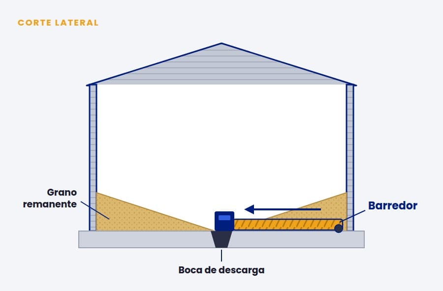 Esquema en corte de un barredor dentro de un silo de fondo plano