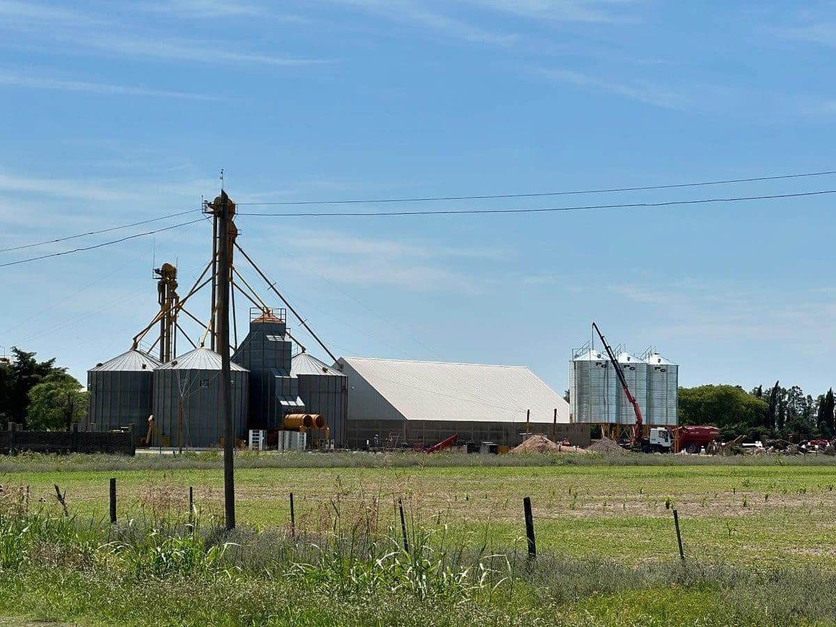Instalación de silos PG